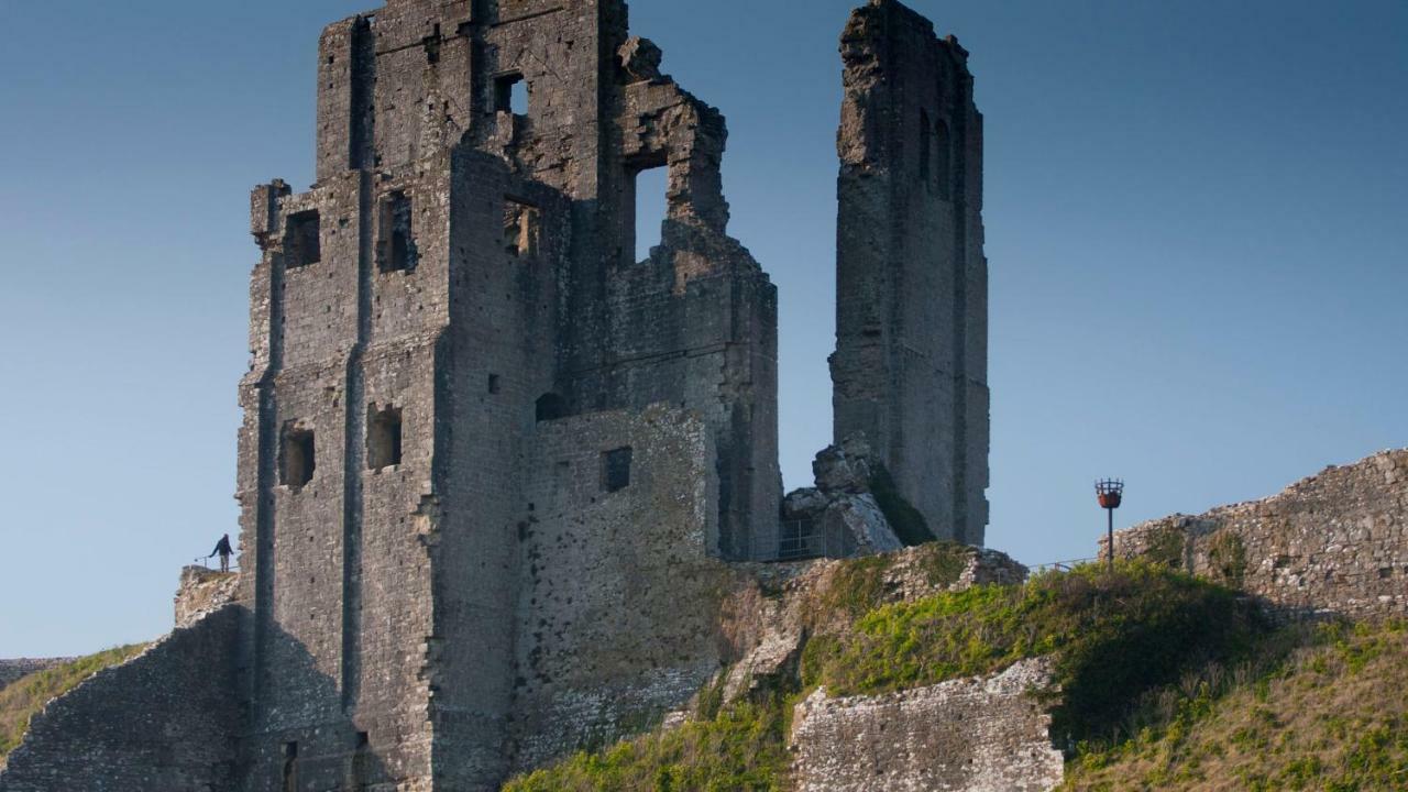 Ammonite Bed & Breakfast Corfe Castle Exteriör bild