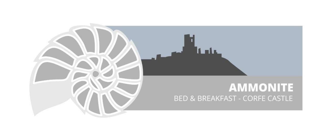 Ammonite Bed & Breakfast Corfe Castle Exteriör bild