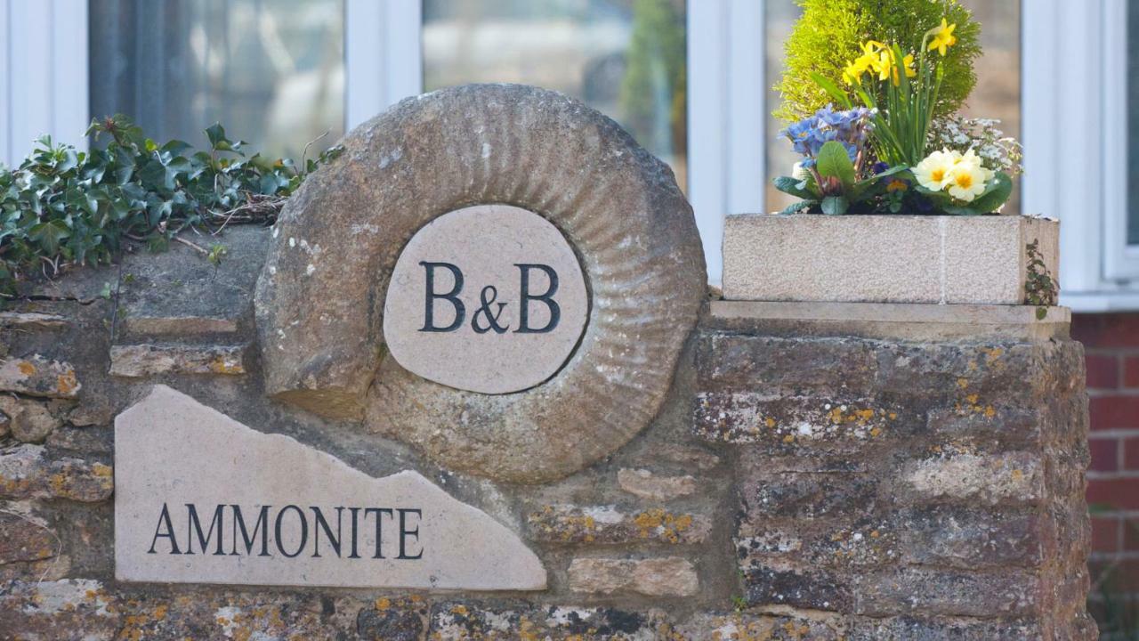 Ammonite Bed & Breakfast Corfe Castle Exteriör bild